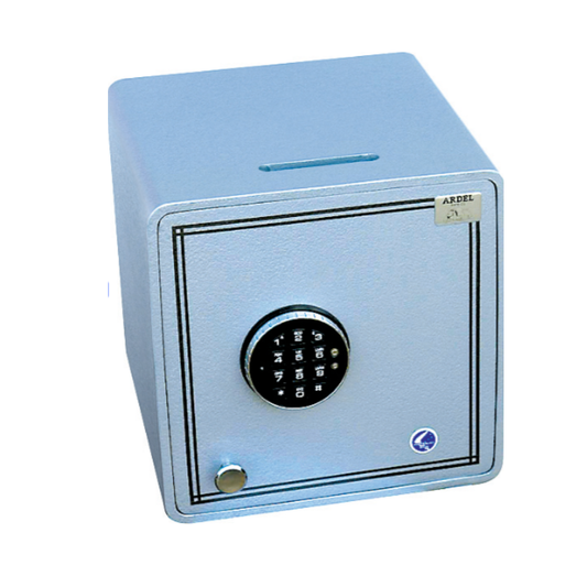 Ardel Surface Mounting C 10 x 10 x 12 Custom Safe - Digital
